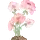 Pink Flower Image | My own creation made in Canva | TheCozy.Cat