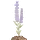 Lavender Image | My own creation made in Canva | TheCozy.Cat